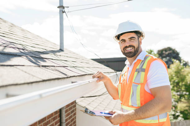 Roof Moss and Algae Removal in Blissfield, MI